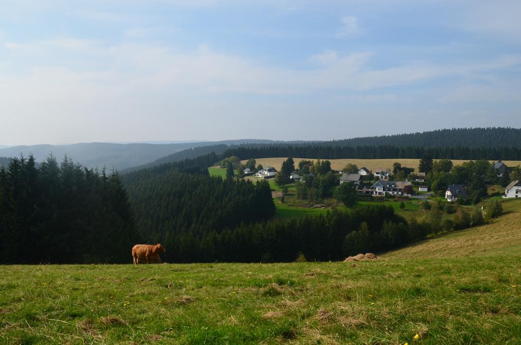 Berggasthof Zur Glocke Βίντερμπεργκ Εξωτερικό φωτογραφία